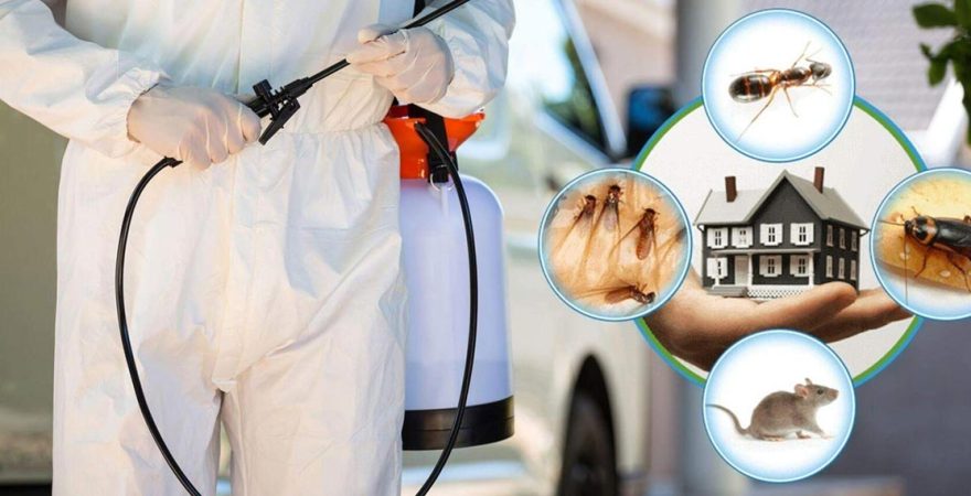 Muradiye Böcek İlaçlama