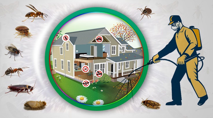 Muradiye Böcek İlaçlama