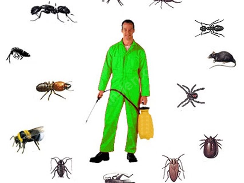 Muradiye Böcek İlaçlama